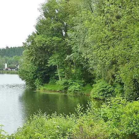 Business + Life 랜스바크베음바크